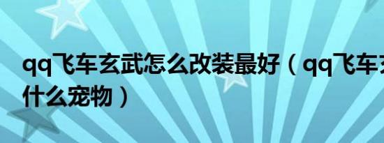 qq飞车玄武怎么改装最好（qq飞车玄武搭配什么宠物）