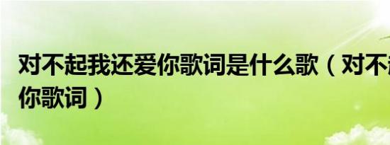 对不起我还爱你歌词是什么歌（对不起我还爱你歌词）