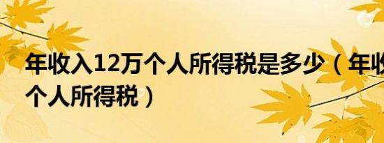 年收入12万个人所得税是多少（年收入12万个人所得税）