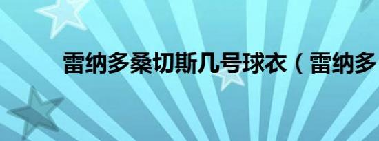 雷纳多桑切斯几号球衣（雷纳多）