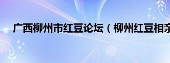 广西柳州市红豆论坛（柳州红豆相亲网）