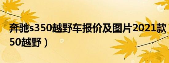 奔驰s350越野车报价及图片2021款（奔驰s350越野）