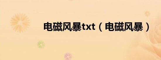 电磁风暴txt（电磁风暴）