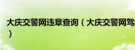 大庆交警网违章查询（大庆交警网驾驶证查询）