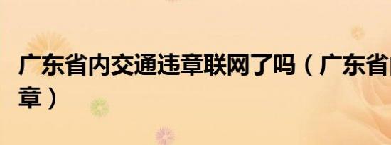 广东省内交通违章联网了吗（广东省内交通违章）