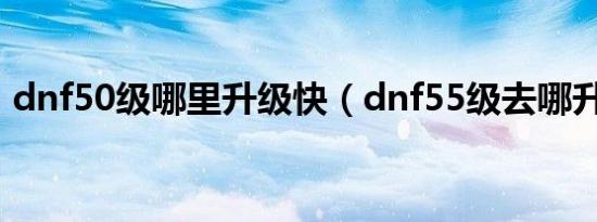 dnf50级哪里升级快（dnf55级去哪升级快）