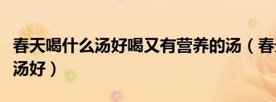 春天喝什么汤好喝又有营养的汤（春天喝什么汤好）