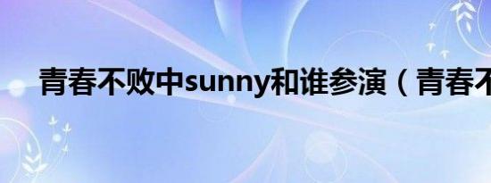 青春不败中sunny和谁参演（青春不败）