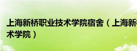 上海新桥职业技术学院宿舍（上海新桥职业技术学院）