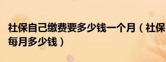 社保自己缴费要多少钱一个月（社保自己缴纳每月多少钱）