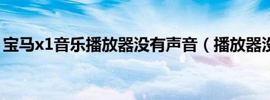 宝马x1音乐播放器没有声音（播放器没声音）