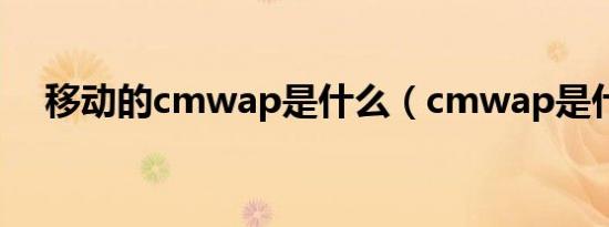 移动的cmwap是什么（cmwap是什么）