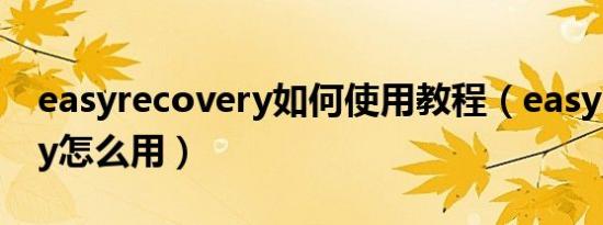 easyrecovery如何使用教程（easyrecovery怎么用）