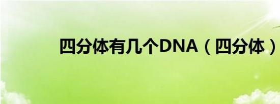 四分体有几个DNA（四分体）