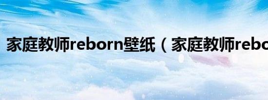 家庭教师reborn壁纸（家庭教师reborn吧）