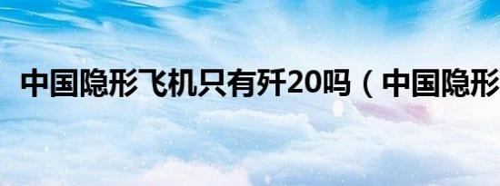 中国隐形飞机只有歼20吗（中国隐形飞机）