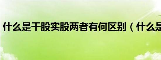 什么是干股实股两者有何区别（什么是干股）