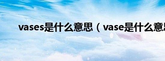 vases是什么意思（vase是什么意思）