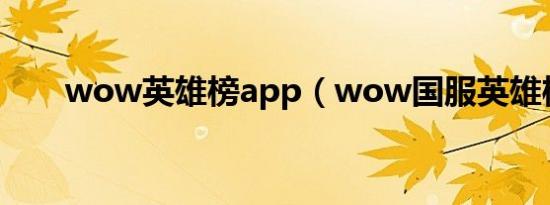 wow英雄榜app（wow国服英雄榜）