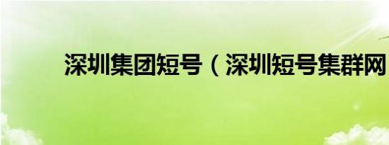 深圳集团短号（深圳短号集群网）