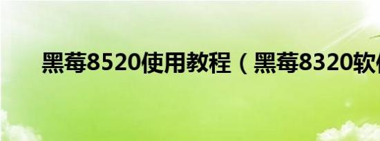 黑莓8520使用教程（黑莓8320软件）