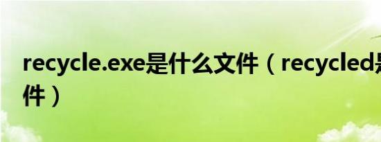 recycle.exe是什么文件（recycled是什么文件）