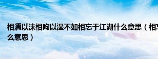 相濡以沫相呴以湿不如相忘于江湖什么意思（相忘于江湖什么意思）