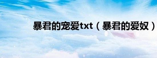 暴君的宠爱txt（暴君的爱奴）