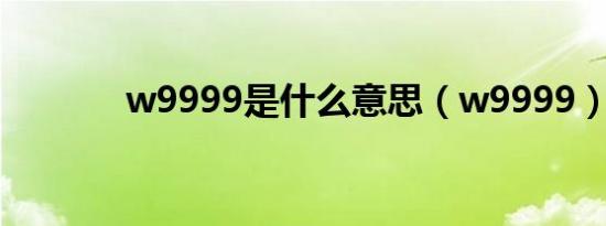 w9999是什么意思（w9999）