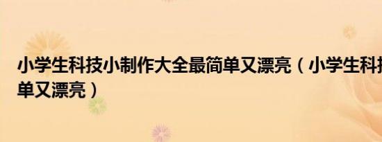 小学生科技小制作大全最简单又漂亮（小学生科技小制作简单又漂亮）