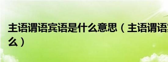 主语谓语宾语是什么意思（主语谓语宾语是什么）