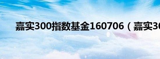 嘉实300指数基金160706（嘉实300）