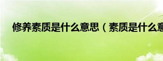 修养素质是什么意思（素质是什么意思）