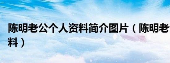 陈明老公个人资料简介图片（陈明老公个人资料）