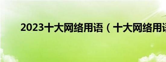 2023十大网络用语（十大网络用语）