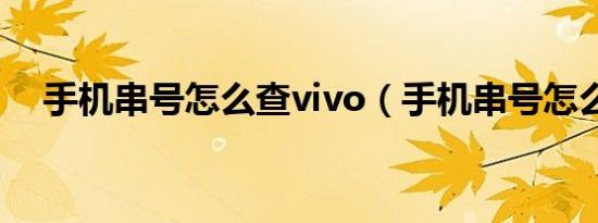 手机串号怎么查vivo（手机串号怎么查）