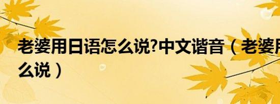 老婆用日语怎么说?中文谐音（老婆用日语怎么说）