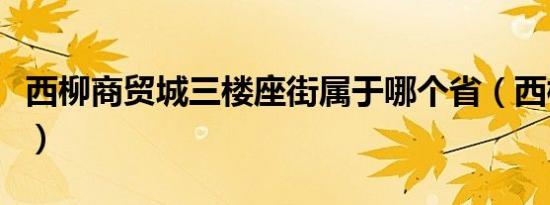 西柳商贸城三楼座街属于哪个省（西柳商贸城）