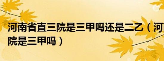 河南省直三院是三甲吗还是二乙（河南省直三院是三甲吗）