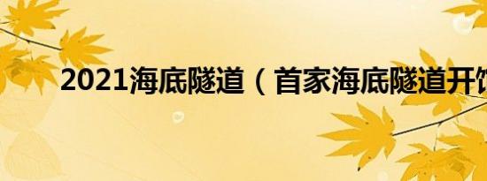 2021海底隧道（首家海底隧道开馆）