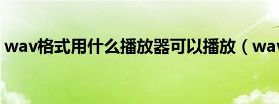 wav格式用什么播放器可以播放（wav格式）