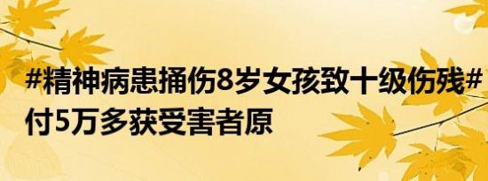 #精神病患捅伤8岁女孩致十级伤残#，其母支付5万多获受害者原