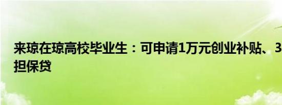 来琼在琼高校毕业生：可申请1万元创业补贴、30万元创业担保贷