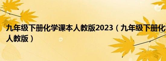 九年级下册化学课本人教版2023（九年级下册化学课本答案人教版）