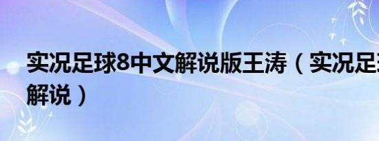 实况足球8中文解说版王涛（实况足球8中文解说）