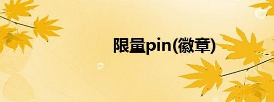 限量pin(徽章)