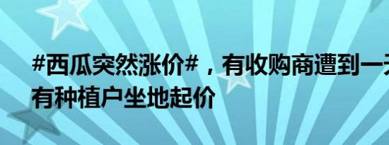 #西瓜突然涨价#，有收购商遭到一天三涨，有种植户坐地起价