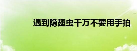 遇到隐翅虫千万不要用手拍