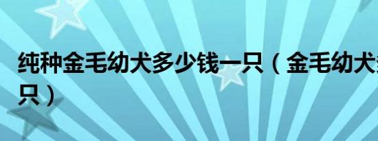 纯种金毛幼犬多少钱一只（金毛幼犬多少钱一只）