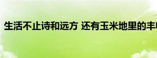 生活不止诗和远方 还有玉米地里的丰收时光